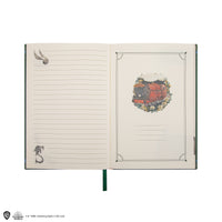 Slytherin Magical World Deluxe Notebook Set