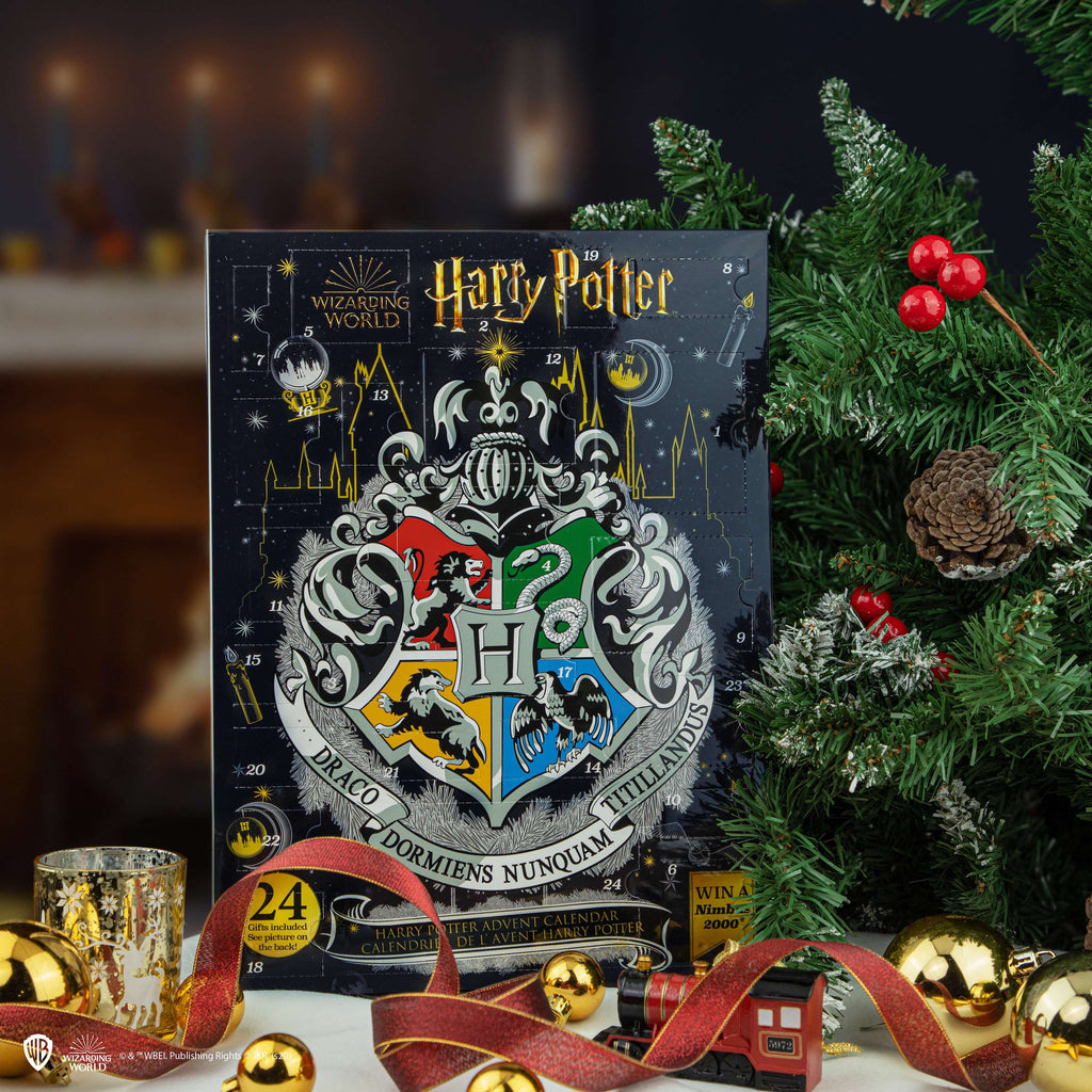 *Harry Potter Advent Calendar 2020
