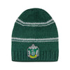 Slouchy Knitted Beanie Slytherin