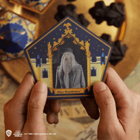 Chocolate Frog Mold + 12 Wizard Cards + 6 DIY boxes (New Edition)