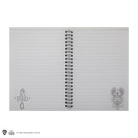 *Albus Dumbledore Notebook