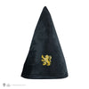 Gryffindor Student Hat