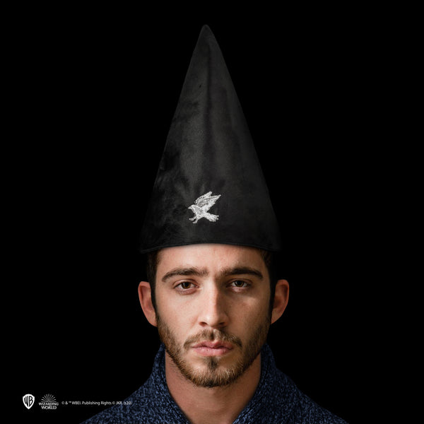 Elope Harry Potter Hogwarts Student Wizard Hat Large