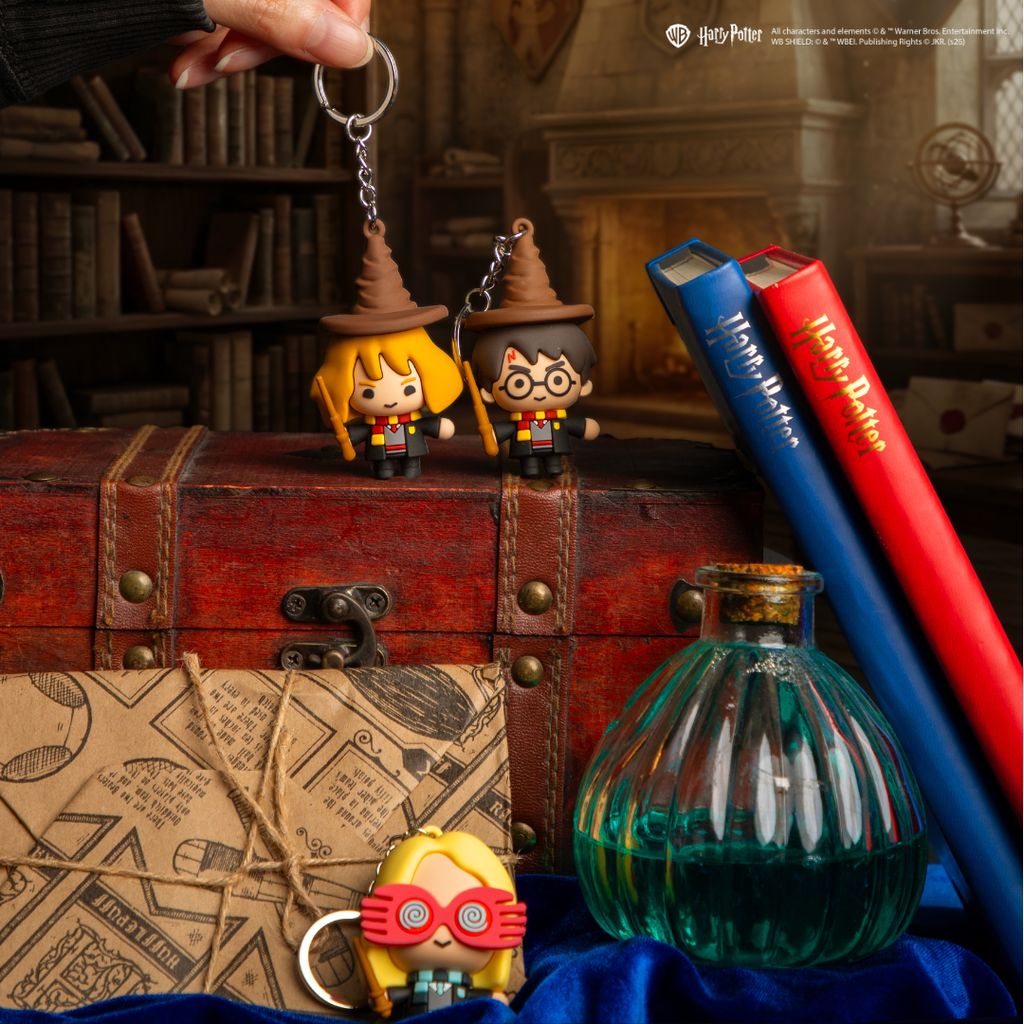 The Hogwarts Defenders Gomee Keymates Bundle