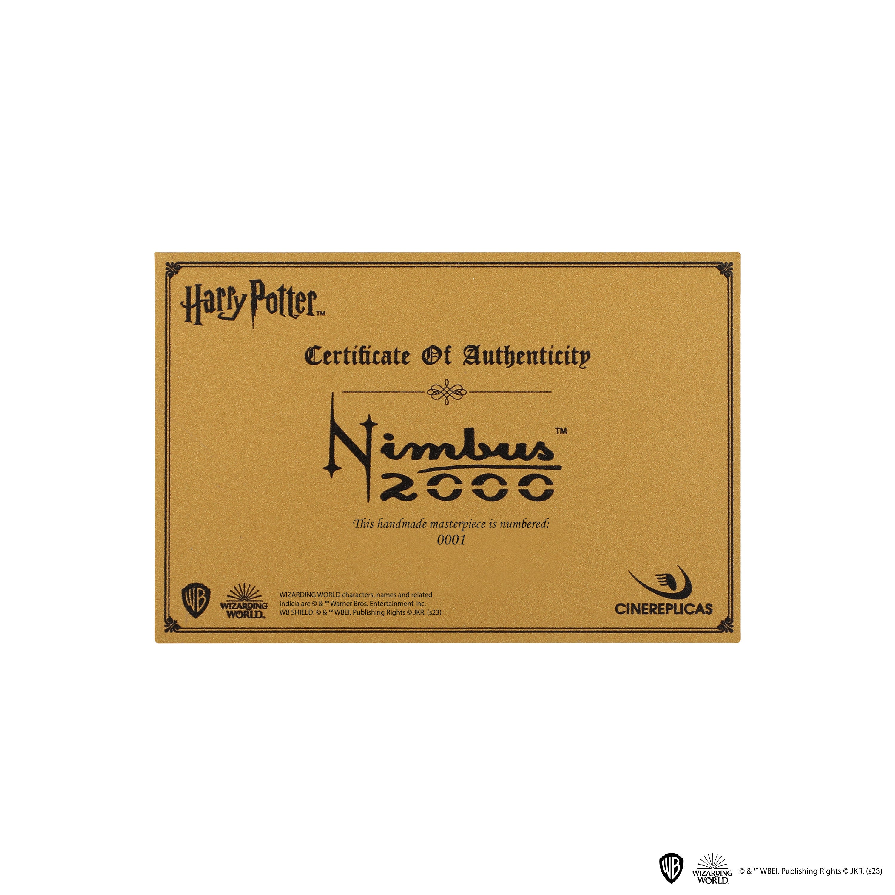 Nimbus 2000 Junior, Harry Potter