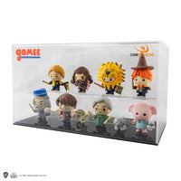 *Acrylic Transparent Display box