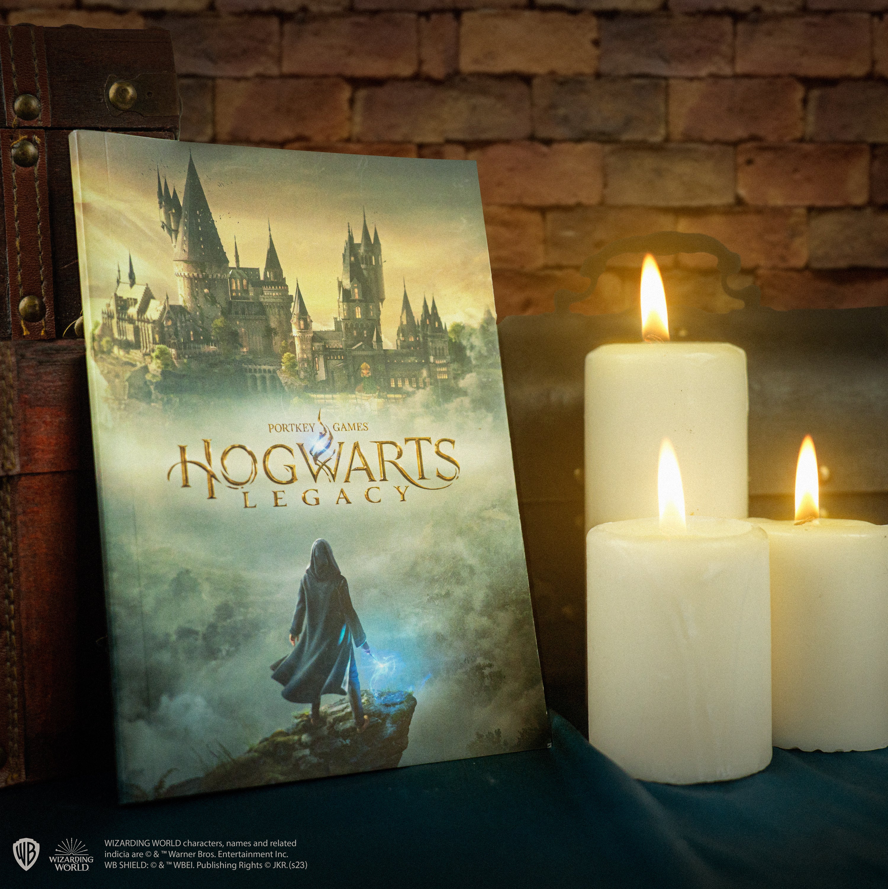 Hogwarts Legacy Notebook, Harry Potter