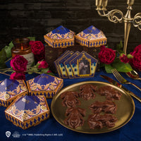 Chocolate Frog Mold + 12 Wizard Cards + 6 DIY boxes (New Edition)