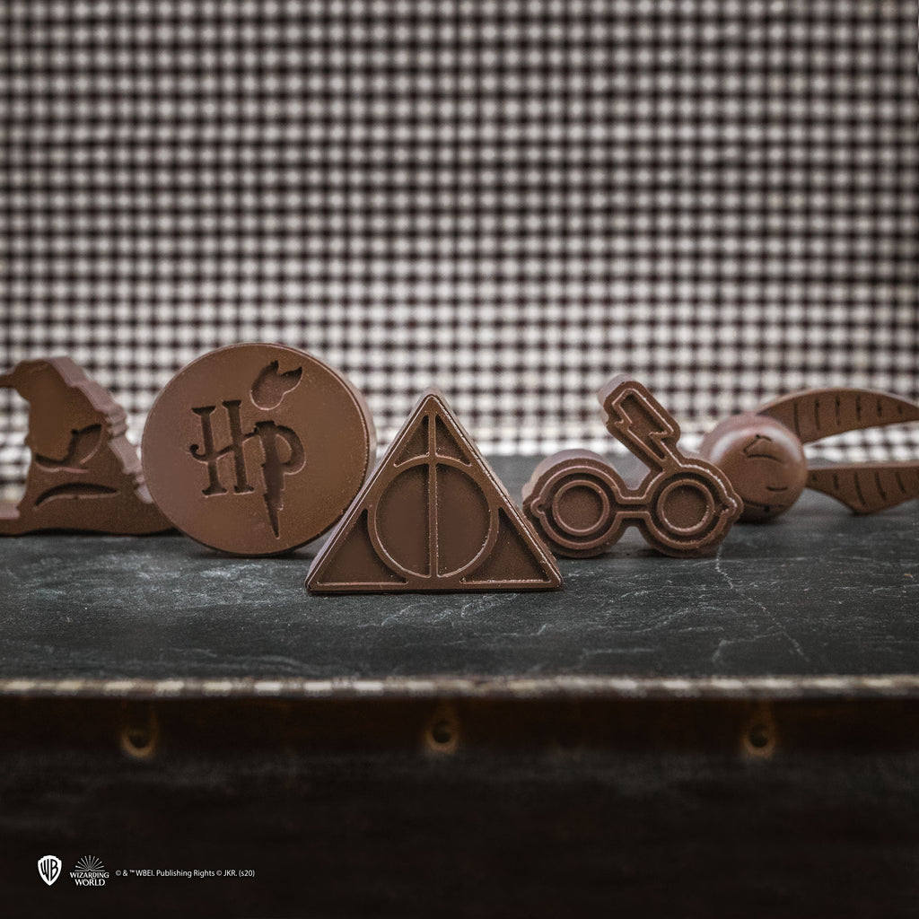 Molde para cubitos de hielo/chocolate con símbolos de Harry Potter