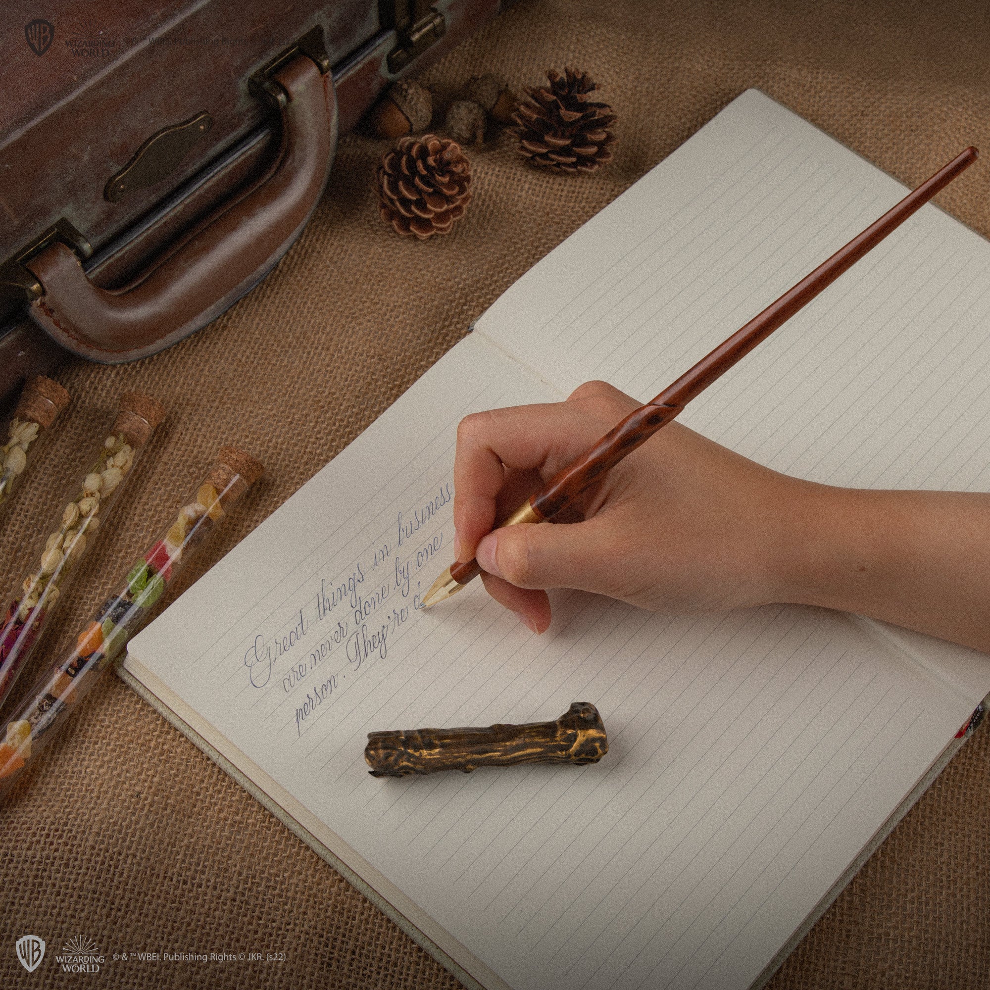 Harry Potter wizard studies pen set : r/pens